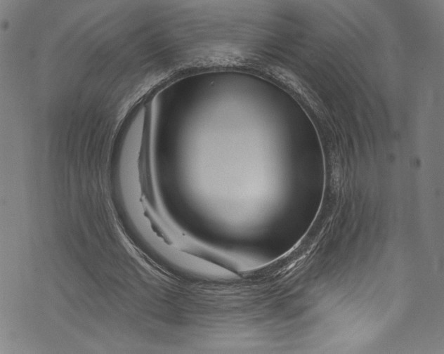 X0000072990677200608211516