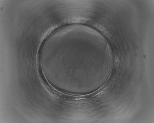 X0000072990678200608211516