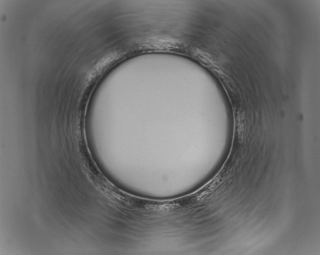 X0000072990679200608211516