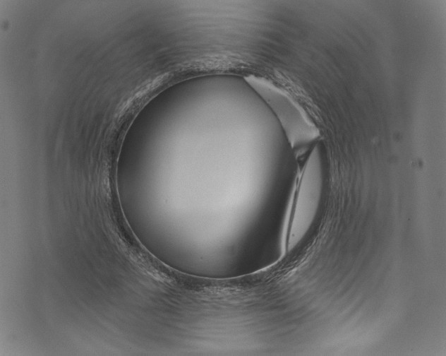 X0000072990681200608211516