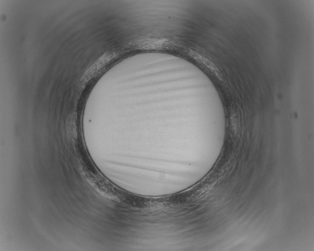 X0000072990682200608211516