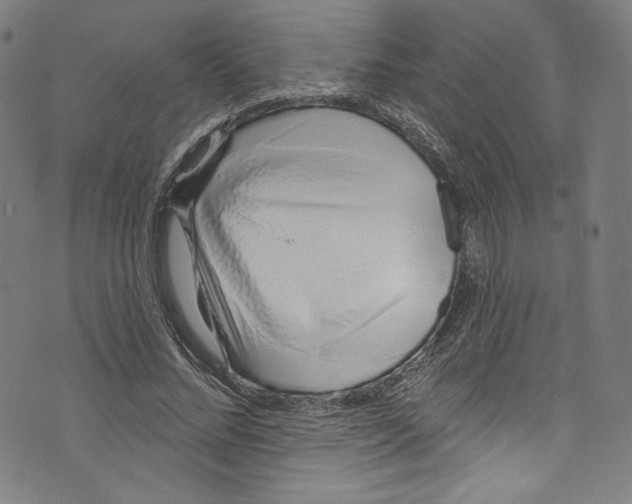 X0000072990684200608211516