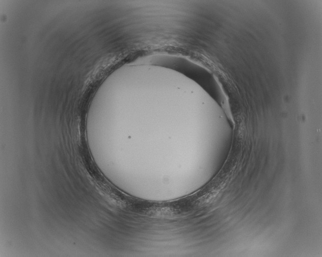 X0000072990685200608211516