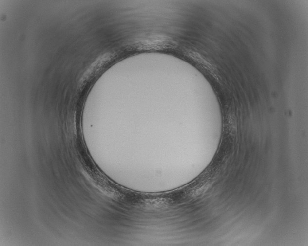 X0000072990686200608211516