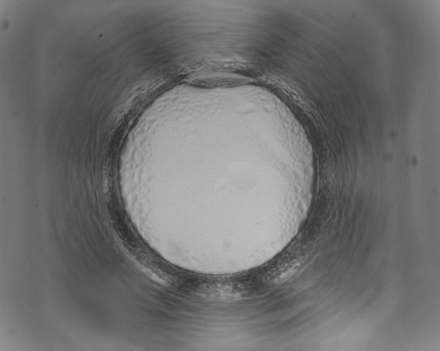 X0000072990687200608211516