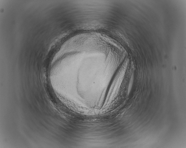 X0000072990688200608211516