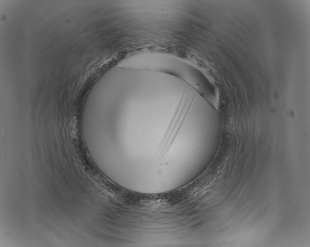 X0000072990689200608211516