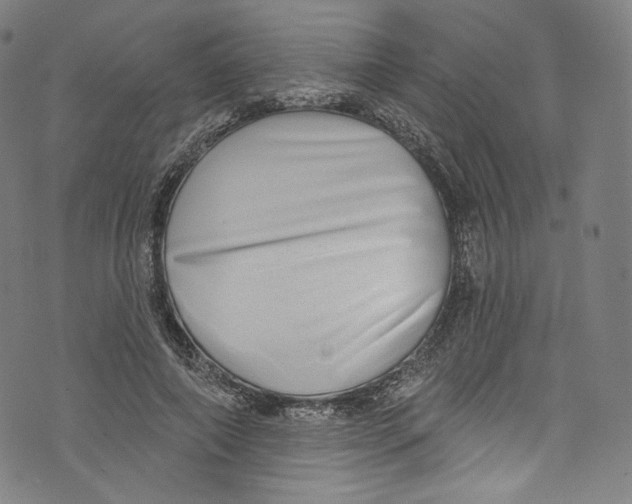 X0000072990690200608211516