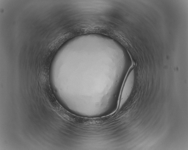 X0000072990691200608211516