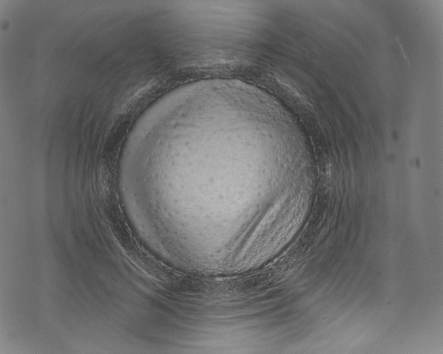 X0000072990692200608211516