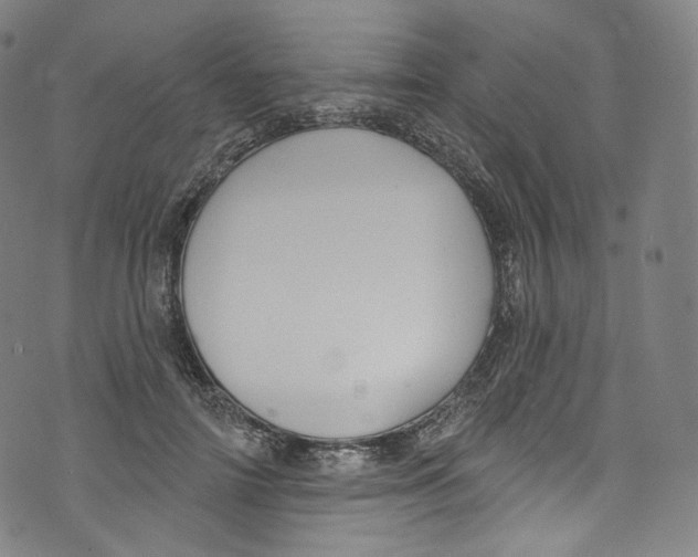 X0000072990698200608211516