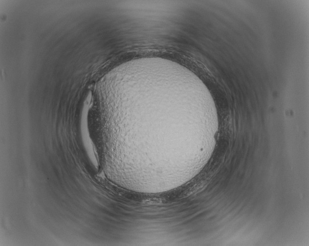 X0000072990700200608211516