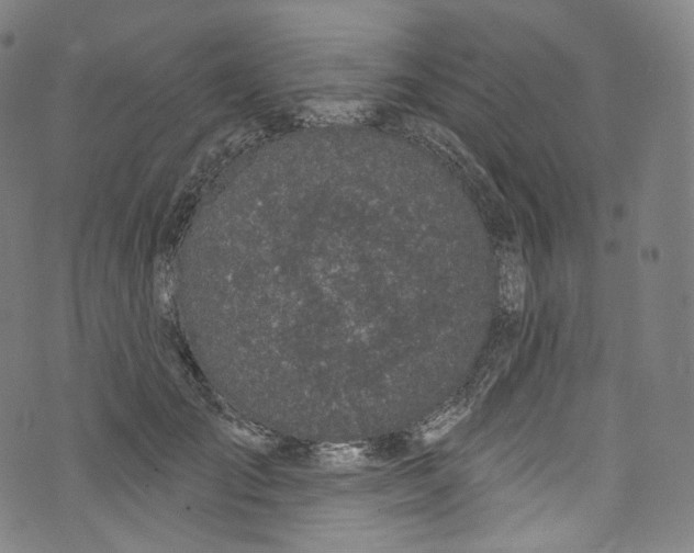 X0000072990701200608211516