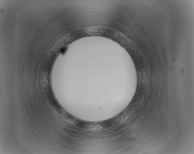 X0000072990702200608211516