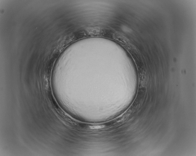 X0000072990703200608211516