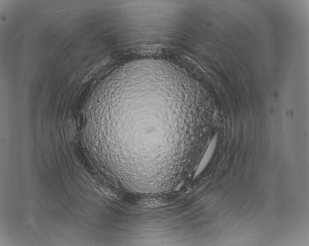 X0000072990704200608211516