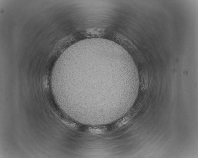 X0000072990706200608211516