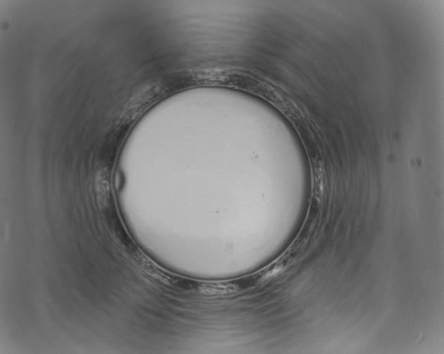 X0000072990707200608211516