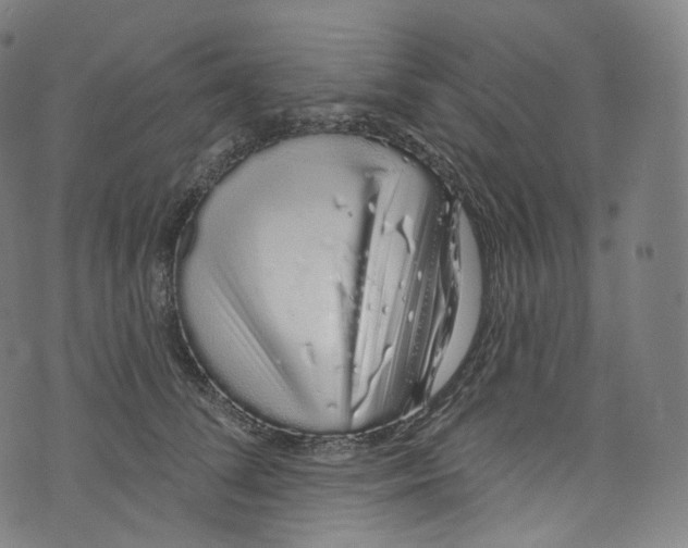 X0000072990708200608211516