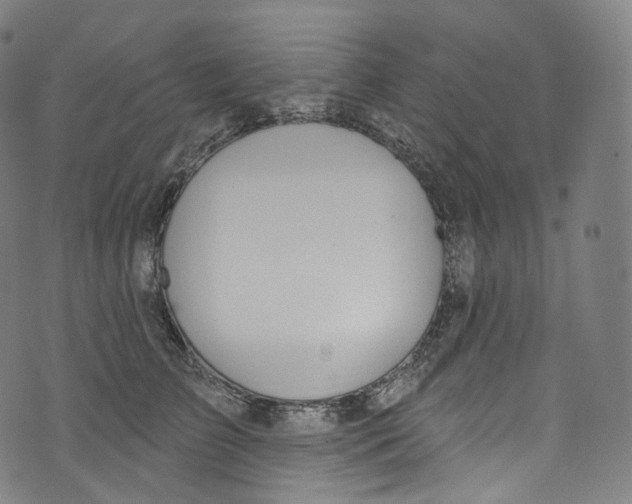 X0000072990709200608211516