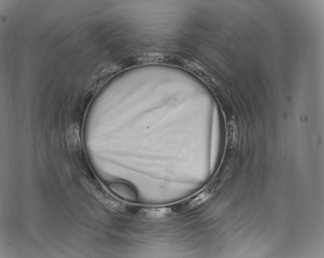 X0000072990711200608211516