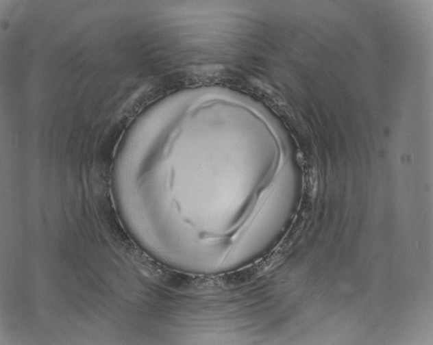 X0000072990712200608211516