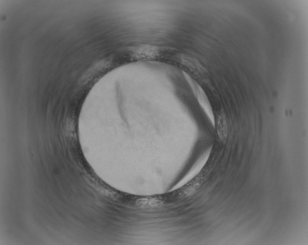 X0000072990714200608211516