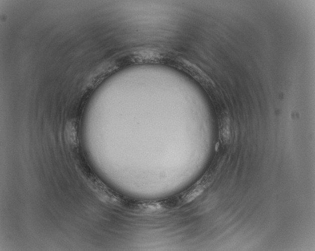 X0000072990715200608211516