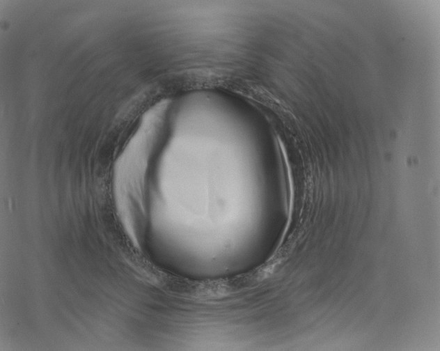 X0000072990716200608211516