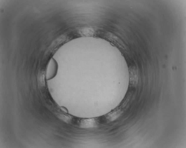 X0000072990717200608211516