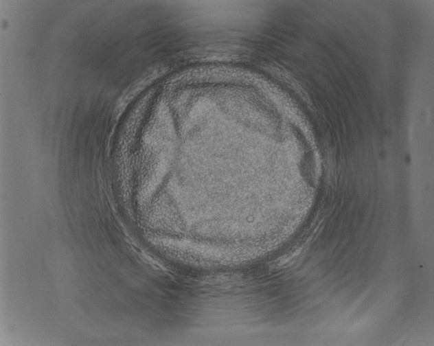 X0000072990721200608211515