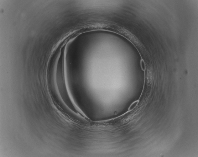 X0000072990722200608211515