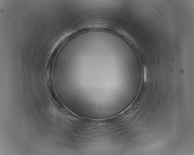 X0000072990723200608211515