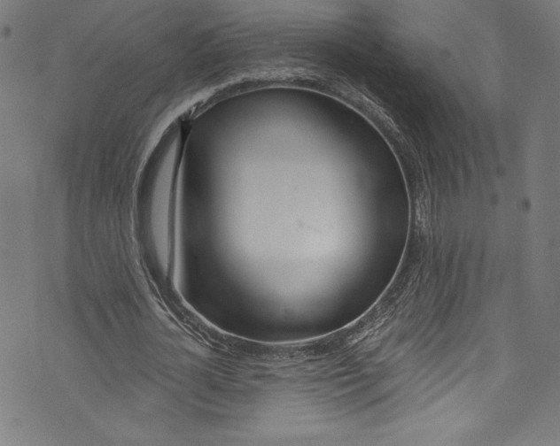 X0000072990724200608211515