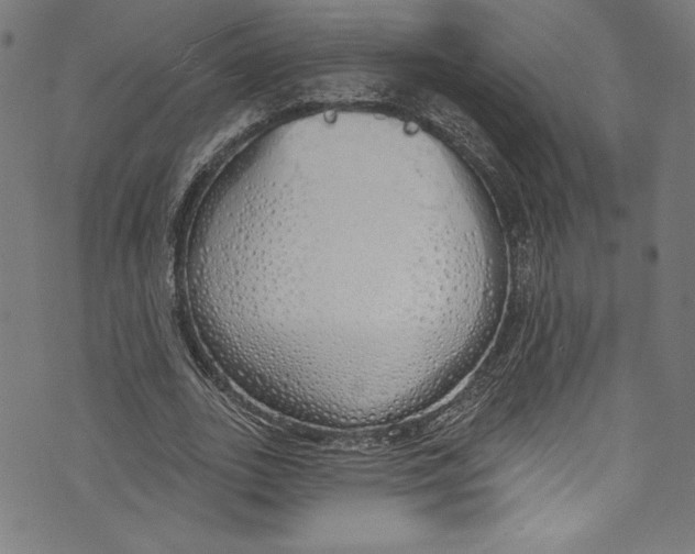 X0000072990727200608211515