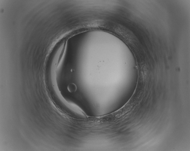 X0000072990728200608211515