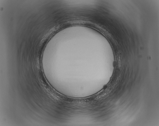 X0000072990729200608211515