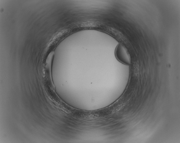 X0000072990731200608211515