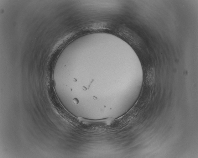 X0000072990732200608211515