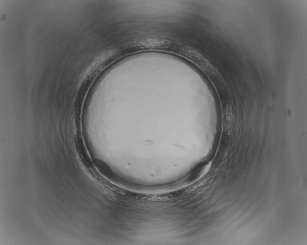 X0000072990734200608211515