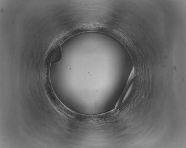 X0000072990736200608211515