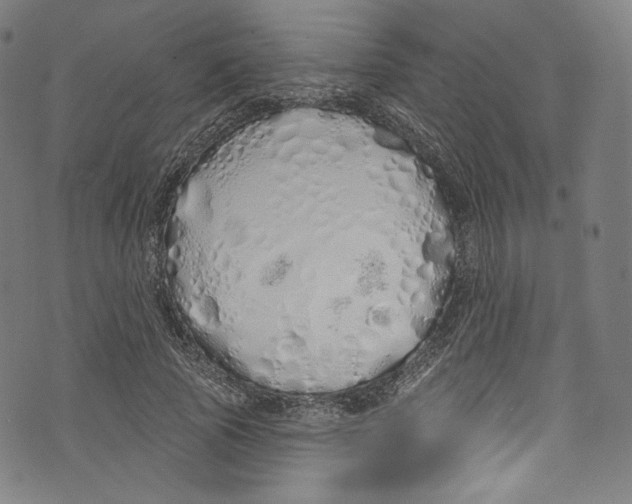 X0000072990737200608211515