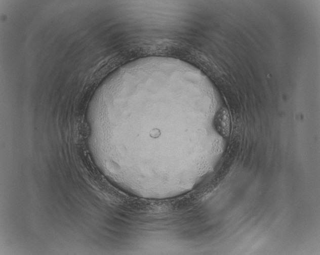 X0000072990741200608211515