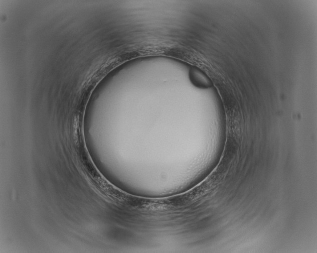 X0000072990742200608211515