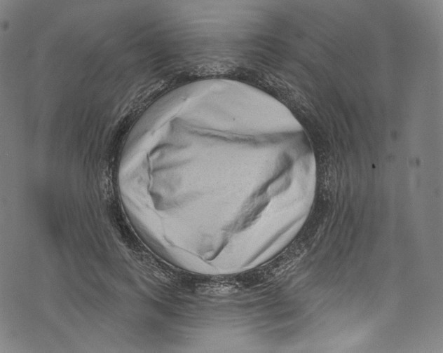 X0000072990743200608211515