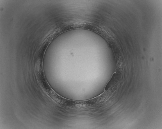 X0000072990744200608211515