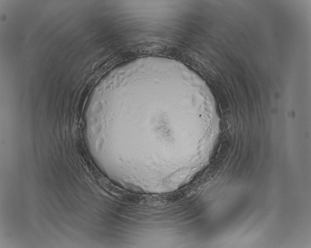 X0000072990745200608211515