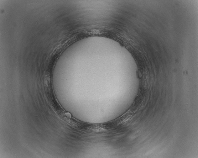 X0000072990747200608211515