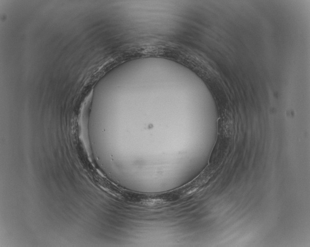 X0000072990748200608211515