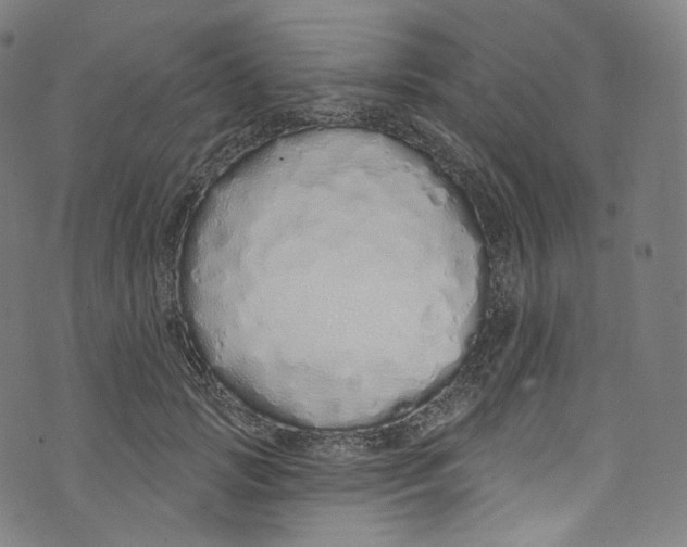 X0000072990749200608211515